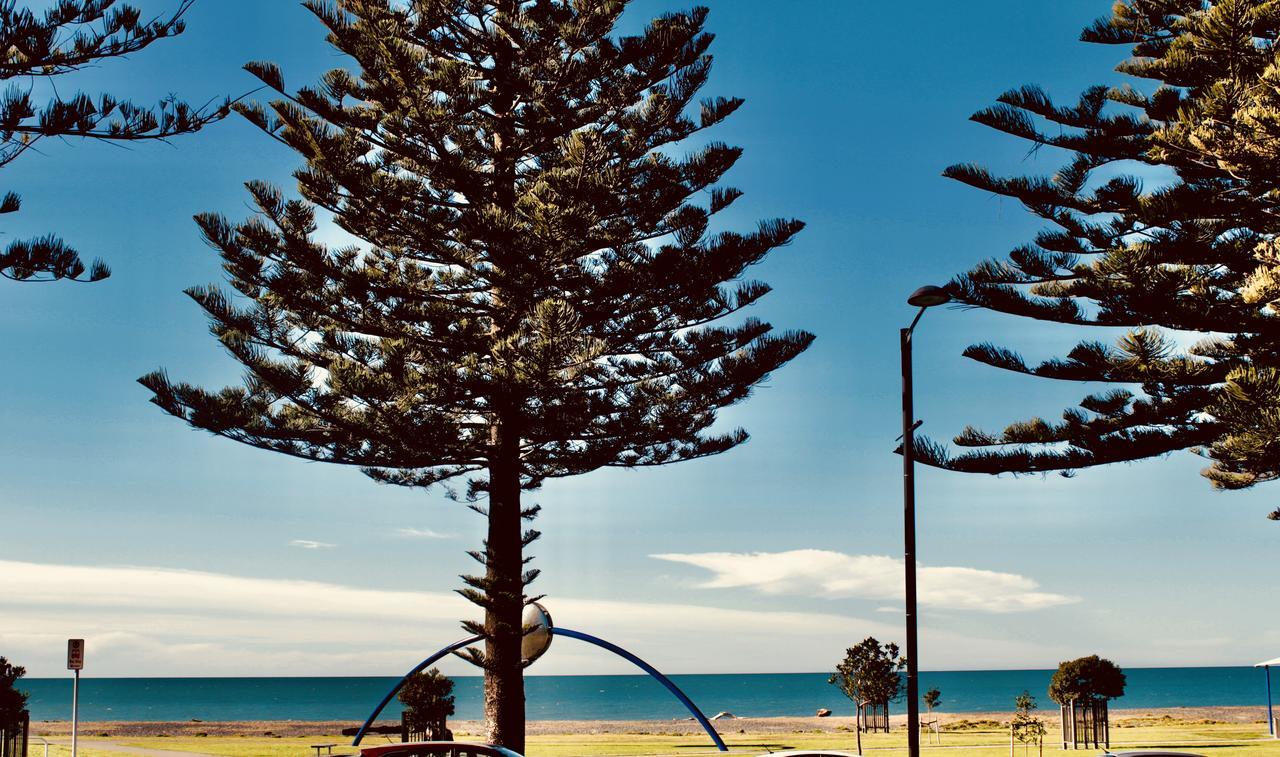 فندق ذا نوتيلوس نابيير المظهر الخارجي الصورة View of the beach from the foreshore