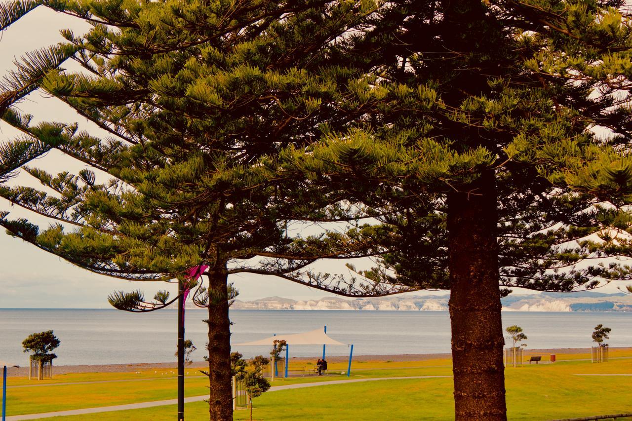 فندق ذا نوتيلوس نابيير المظهر الخارجي الصورة View of the bay from the foreshore